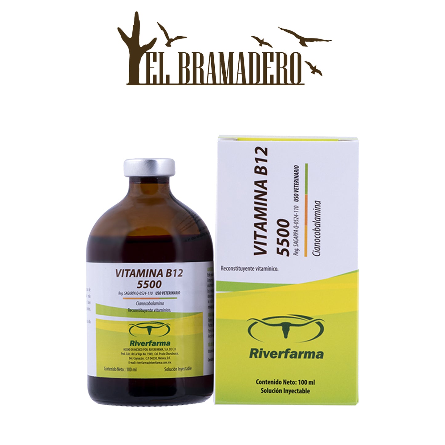 VITAMINA B12 5500 100 ML (RIVERFARMA)